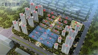 郑州蓝城最新事件爆料新闻,最新爆料揭示惊人真相  第1张