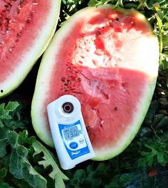 最新的瓜爆料的网红,网红新动态，揭秘背后惊人真相！  第2张