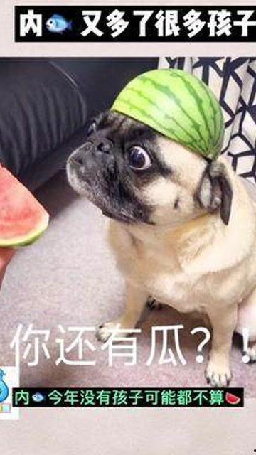 娱乐吃瓜宝宝,揭秘娱乐圈那些不为人知的幕后故事  第2张